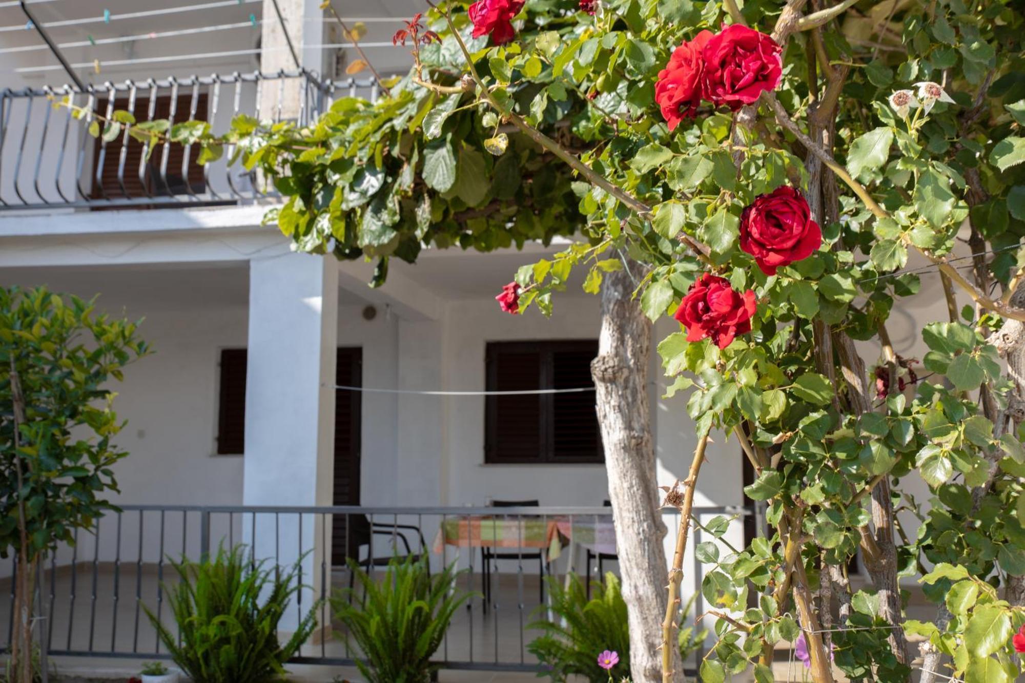 Apartments Latkovic Zaostrog Εξωτερικό φωτογραφία