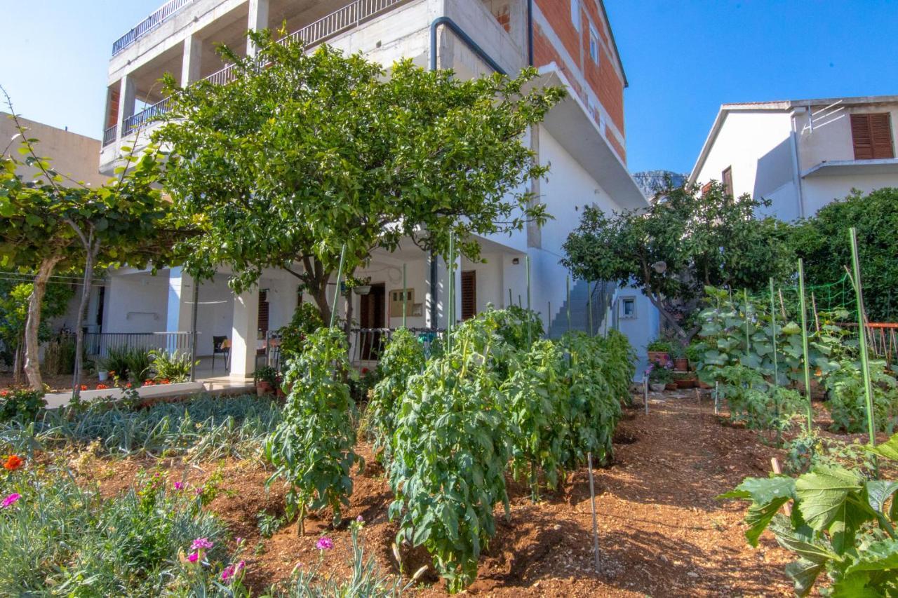Apartments Latkovic Zaostrog Εξωτερικό φωτογραφία