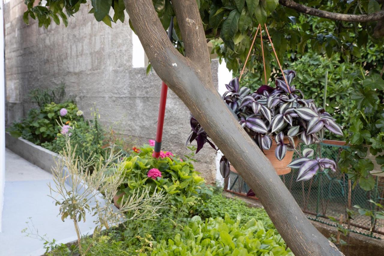 Apartments Latkovic Zaostrog Εξωτερικό φωτογραφία