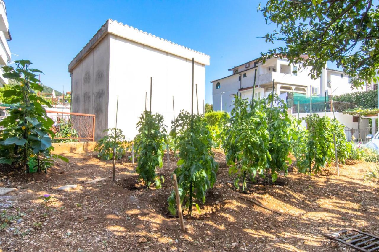 Apartments Latkovic Zaostrog Εξωτερικό φωτογραφία